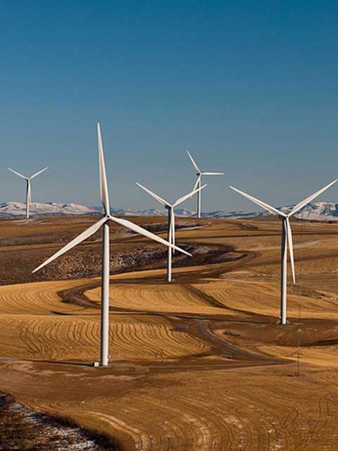 卡密代充便宜的短信电话云轰炸